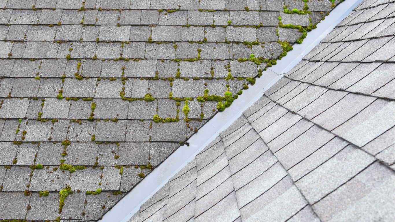 Roof cleaning asphalt shingles